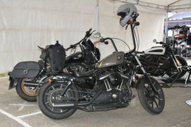 PASAY, PH - NOV 27 - Harley davidson motorcycle at Freedom ride festival motorshow on November 27, 2022 in Pasay, Philippines. Freedom ride festival is a annual motorshow held in Philippines.