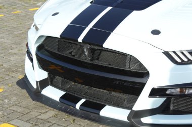 Pasay, PH - 1 Şubat - Ford Mustang Mega 'da 1 Şubat 2025 tarihinde Pasay, Filipinler' de buluştu. Mega karşılaşması Filipinler 'de düzenlenen bir araba etkinliğidir..
