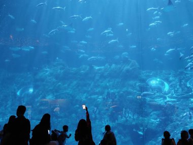 WONG CHUK HANG - 24 Mayıs - Ocean Park 'taki dev akvaryum 24 Mayıs 2024' te Wong Chuk Hang, Hong Kong 'da. Ocean Park, Hong Kong 'da bir hayvan temalı parktır..