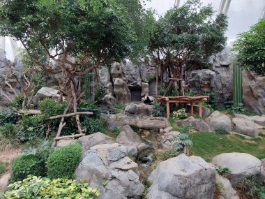 WONG CHUK HANG - 24 Mayıs - Panda bölgesi 24 Mayıs 2024 'te Wong Chuk Hang, Hong Kong' da. Ocean Park, Hong Kong 'da bir hayvan temalı parktır..