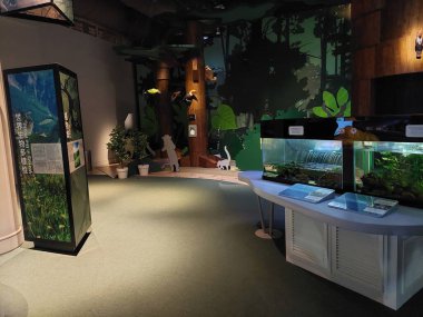 KOWLOON, HK - 22 Mayıs - HK Bilim Müzesi Ormanı 22 Mayıs 2024, Kowloon, Hong Kong. Hong Kong, Kowloon 'da bir bilim müzesi..