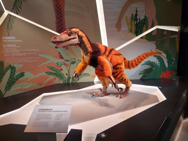 KOWLOON, HK - 22 Mayıs - HK Bilim Müzesi dinozor görüntüsü 22 Mayıs 2024 tarihinde Kowloon, Hong Kong 'da. Hong Kong, Kowloon 'da bir bilim müzesi..