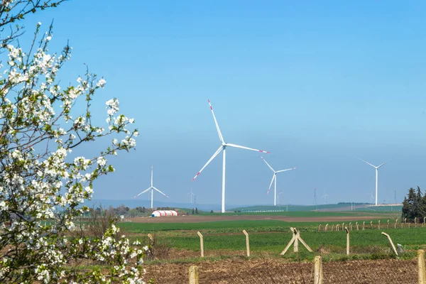 stock image wind turbines generating energy from the wind, in nature, clear blue sky