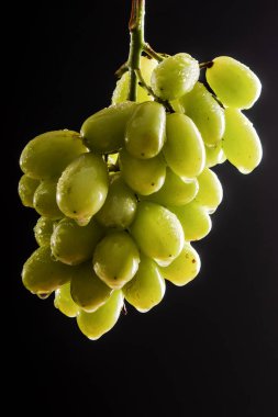 Siyah arka planda yeşil üzüm demeti, taze meyve, stüdyo ışıkları.