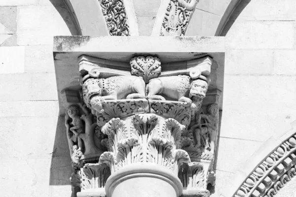 大理石罗马柱顶部雕刻的动物雕塑品中的黑白照片 — 图库照片