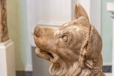 Close-up on happy face of dog sculpted in marble