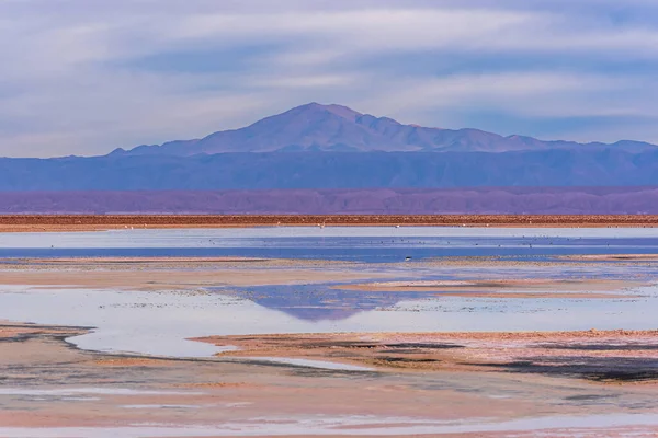 Mountain Reflecting Shallow Waters Chaxa Lagoon Atacama Desert — Stock Photo, Image