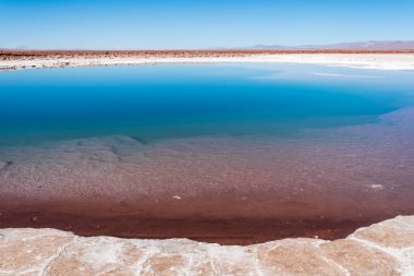 Atacama Çölü 'ndeki Baltinache gölünün gizli sularına yakın çekim
