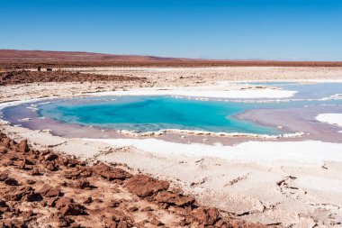 Atacama Çölü 'nde Baltinache' nin güzel gizli gölü