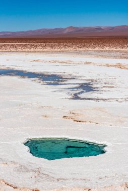 Atacama Çölü 'ndeki Baltinache' de şeffaf suyu olan küçük gölcükler.