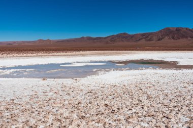 Atacama Çölü 'nde küçük bir Baltinache gölü.