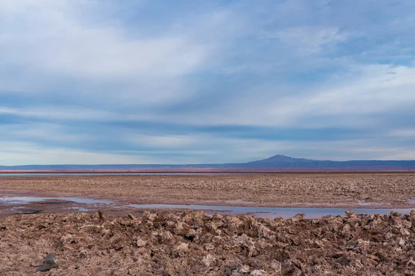 Paesaggio Nella Laguna Chaxa Nel Deserto Atacama — Foto Stock