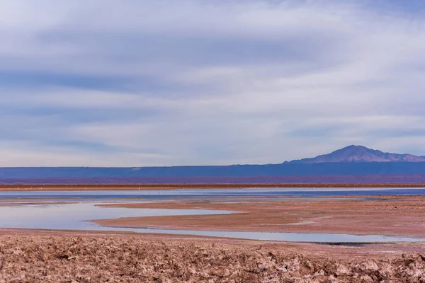Vulcão Pico Visto Lagoa Chaxa Deserto Atacama — Fotografia de Stock