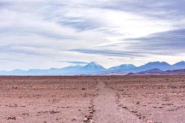 Bellissimo Paesaggio Sentiero Nel Parco Nazionale Piedras Rojas Nel Deserto — Foto Stock