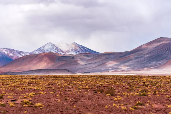 Paisagem Inverno Com Montanhas Nevadas Parque Piedras Rojas Deserto Atacama — Fotografia de Stock