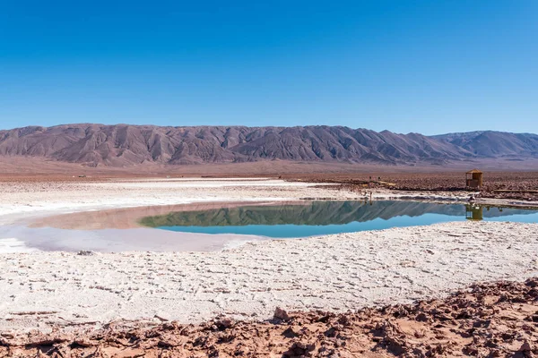 Vista Dalla Laguna Nascosta Baltinache Nel Deserto Atacama — Foto Stock