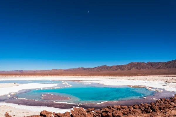 View Moon Blue Sky Beautiful Hidden Lagoon Baltinache Atacama Desert — Stock Photo, Image