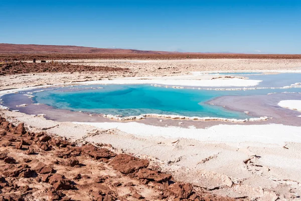 Beautiful Hidden Lagoon Baltinache Atacama Desert — Stock Photo, Image