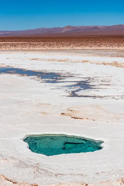 Little Lagoons Transparent Water Baltinache Atacama Desert — Stock Photo, Image
