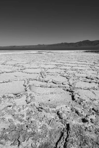 Black White Photo Arid Soil Hidden Lagoon Baltinache Atacama Desert — Stock Photo, Image