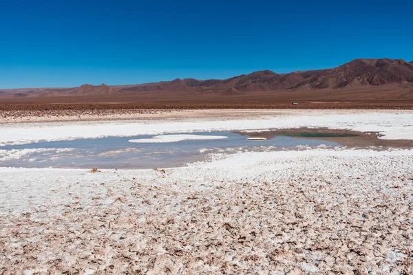 Piccola Laguna Nascosta Baltinache Nel Deserto Atacama — Foto Stock