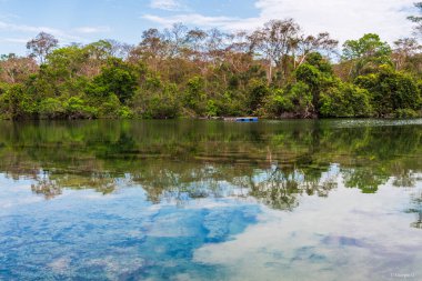 Brezilya 'da tropik bitki örtüsü göle yansıyor