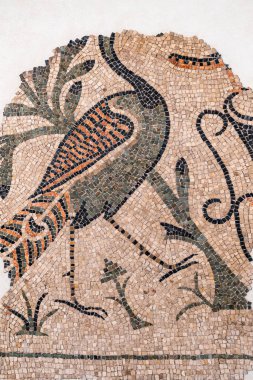 Uzun boylu bir kuşun vücudunu gösteren antik Roma mozaiğinin kalıntıları.