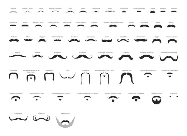 Set Bigotes Hombre Con Nombre Texto Estilo Ilustración Cabello Facial — Archivo Imágenes Vectoriales