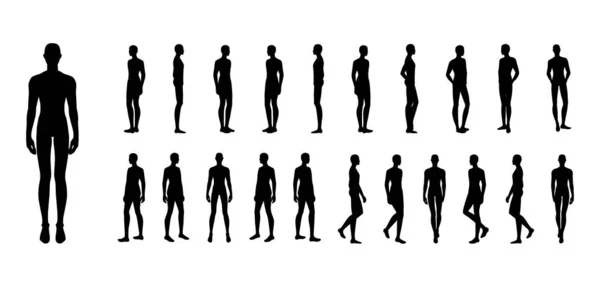 轮廓和男人设置身体站立和步行时尚图解 平坦的男性和女性角色集合前 侧视男孩 人类苗条的绅士信息模板 — 图库矢量图片