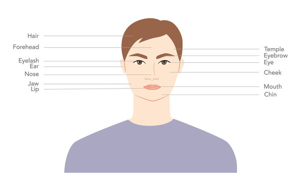 Диаграмма головы человека с именами, части текста лица помечены модой Illustration Infographic с описанием. Плоская мужская схема. Инфографический шаблон человека-джентльмена 