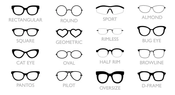 Set Different Types Glasses Rectangular Pilot Square Cat Eye Pantos Royalty Free Stock Illustrations