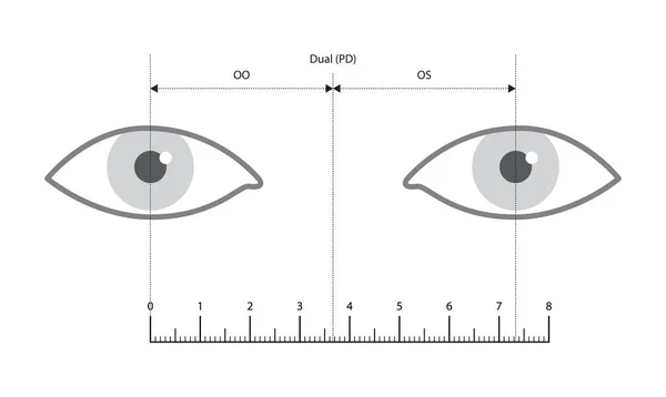 Plantilla Medición Distancia Pupilar Con Regla Gafas Montura Ocular Accesorio — Vector de stock