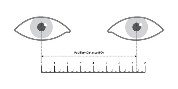 Cmルーラーテンプレートアイフレームグラスファッションアクセサリー医療イラストの小児距離測定 光学センターサングラスフロントビュースタイル レンズスケッチスタイルのアウトライン付き平らな眼鏡 ロイヤリティフリーのストックイラスト