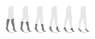 Çorap takımı, düşük kesim, ayak bileği, baldırın ortası, diz boyu hortum. Moda aksesuarları teknik çizimler. Erkekler, kadınlar, unisex tarzı, beyaz arka planda izole edilmiş daire