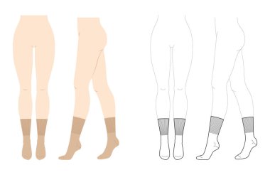 Geniş elastik bantlı Baldır Çorapları Kadın Bacakları - Doğal bej ve çizgi tarzı. Çorap, moda, aksesuar, teknik illüstrasyon çorapları. Vektör ön görünümü, düz şablon modeli