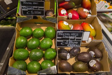 Italy - Feb. 5, 2023: Various types and colors of avocado hass in cardboard boxes on shelf for sale with prices in euros in an Italian supermarket