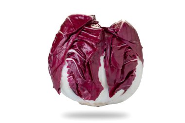 Radicchio di Verona typical red leaf radish chicory, isolated on white clipping path included