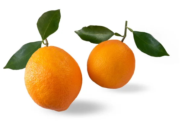 Oranges Green Leaves Isolated White Clipping Path Included — 스톡 사진