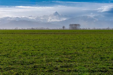 Yüksek Po Vadisi 'nin yeşil çayır manzarası. Arka planda Monviso Dağı, Piedmont, İtalya.
