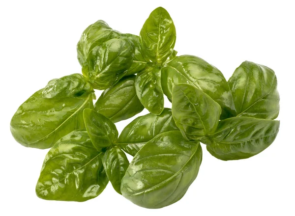 Basil Leaves Isolated White Clipping Path Included — Stock Photo, Image