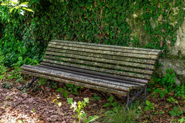 Abandoned Old Bench Covered Moss Lichen Front Ivy Wall Park — Stock Photo, Image