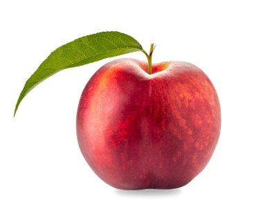 Yeşil yapraklı şeftali, beyaza izole edilmiş, kırpma yolu da dahil. 