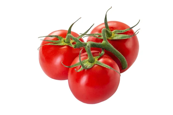 Red Tomato Green Branch Isolated White Clipping Path — Stock Photo, Image