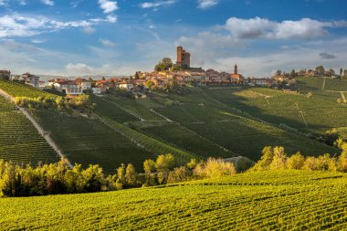 Serralunga d 'Alba, Langhe, Piedmont, İtalya - Vineyard Hill' de şatosu olan köy manzarası - tipik Barolo şarap bölgesi