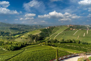 Langhe Hills, Piedmont, İtalya. Serralunga Alba ve Costiglione Falletto köyleri arasındaki üzüm bağlarının manzarası, tipik bir Barolo şarap bölgesi. Beyaz bulutlu mavi gökyüzü