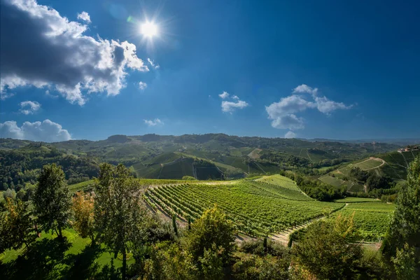 Krajobraz Wzgórzach Langhe Widokiem Winnice Typowej Winnicy Barolo Serralunga Alba — Zdjęcie stockowe