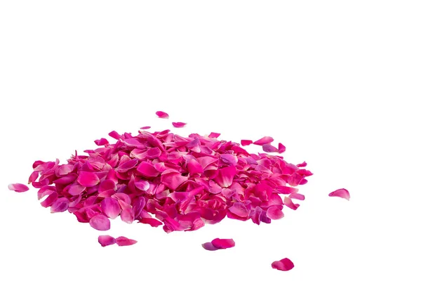 Pile of rose petals color pink isolated on white with clipping path included, copy space