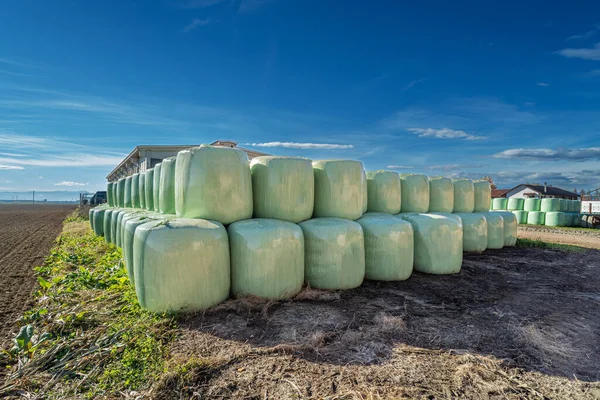 Plastic-wrapped hay bales stacked near the barn on the Italian country farm in the Po Valley in the province of Turin under blue skies
