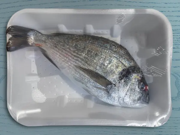Sea bream in vacuum sealed food grade plastic tray isolated on light blue wood board with clipping path included