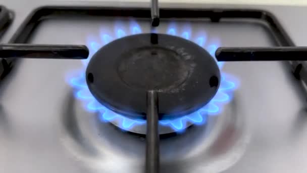 燃着蓝色火焰的厨房燃气灶 — 图库视频影像